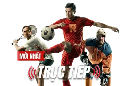Sảnh đá gà trực tiếp